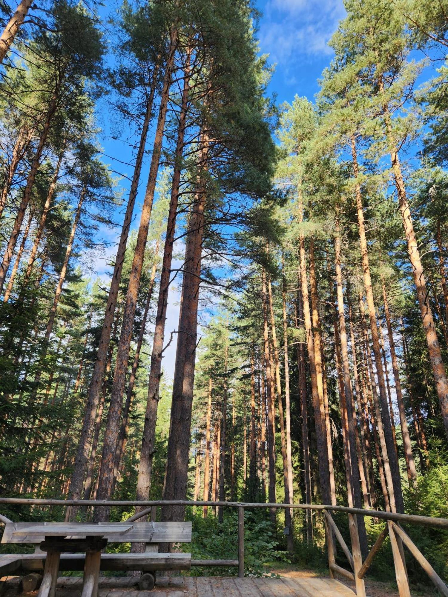 One Bedroom Apartment Pirin Lodge バンスコ エクステリア 写真