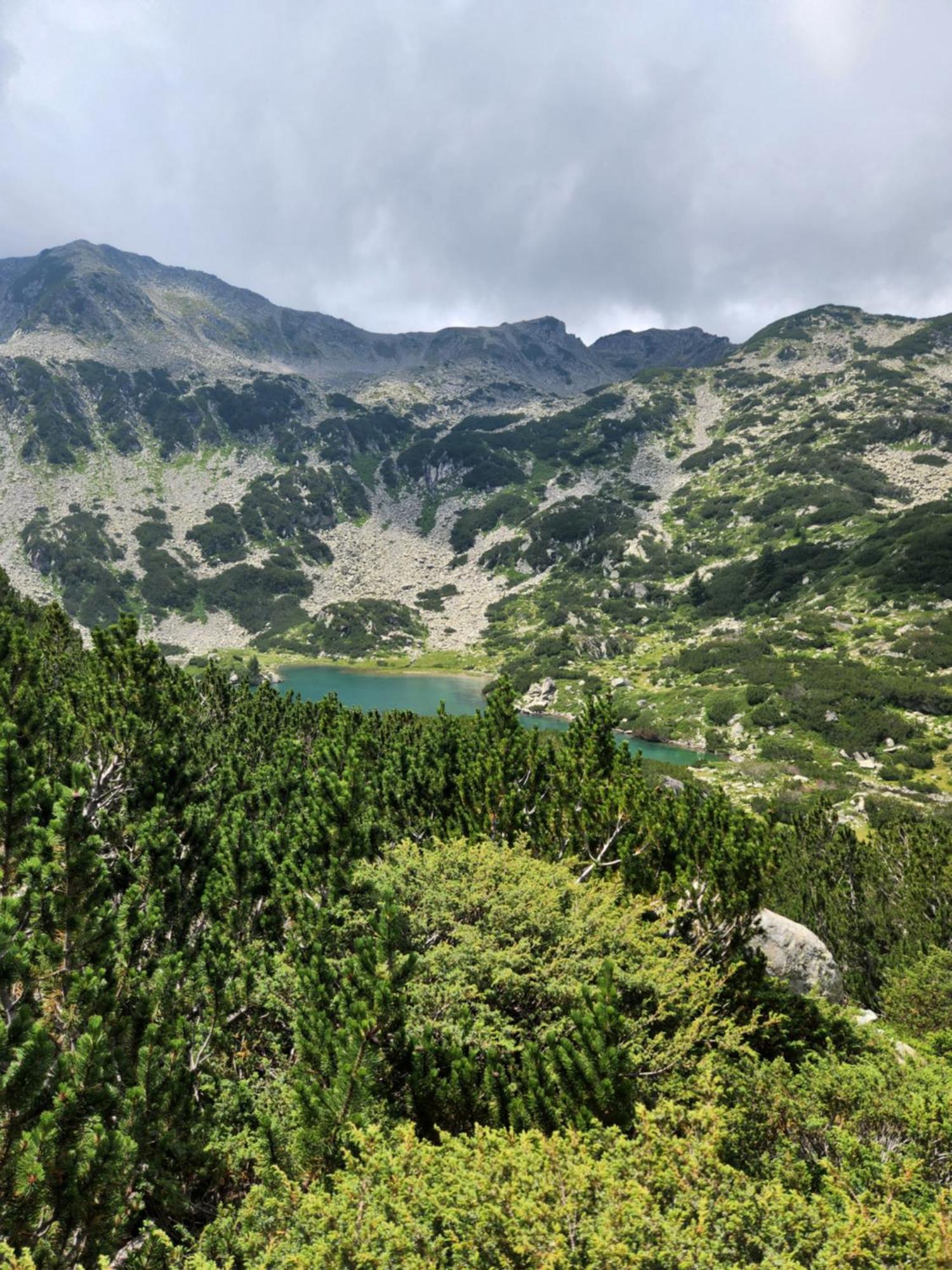 One Bedroom Apartment Pirin Lodge バンスコ エクステリア 写真