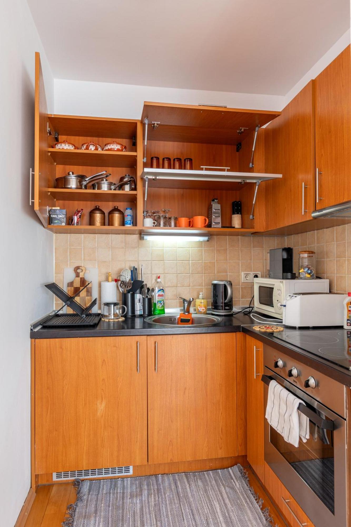 One Bedroom Apartment Pirin Lodge バンスコ エクステリア 写真